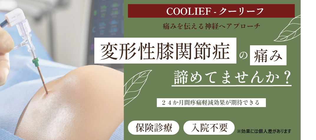 COOLIEF クーリーフ 痛みを痛みを伝える神経へアプローチ 変形膝関節症の痛み諦めてませんか？ 24ヶ月間疼痛軽減効果が期待できる 保険診療 入院不要 ※効果には個人差があります